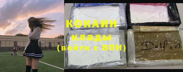 дживик Балахна