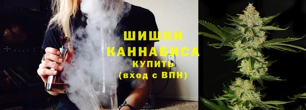 гашик Магас