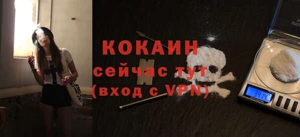 гашик Магас