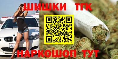 сатива Аргун