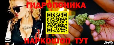 молекула духа Апшеронск