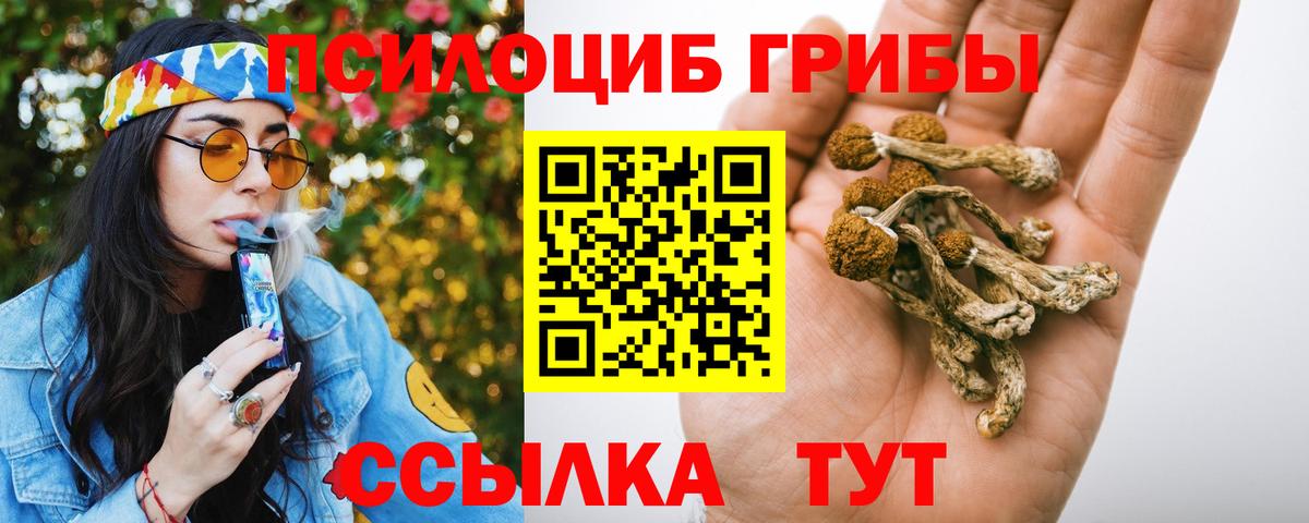 Псилоцибиновые грибы ЛСД Белая Калитва