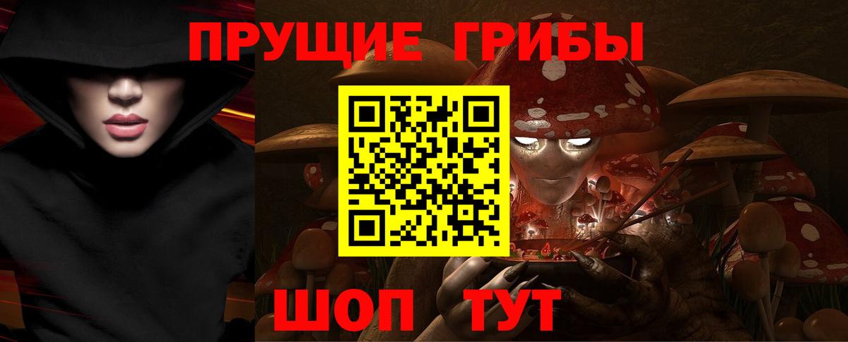 Галлюциногенные грибы Psilocybine cubensis Белая Калитва
